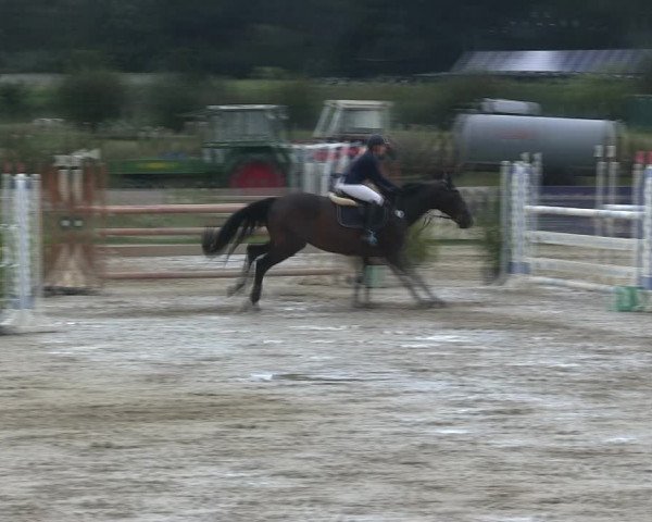 Reitturnier Schülp / Rendsburg 2019
