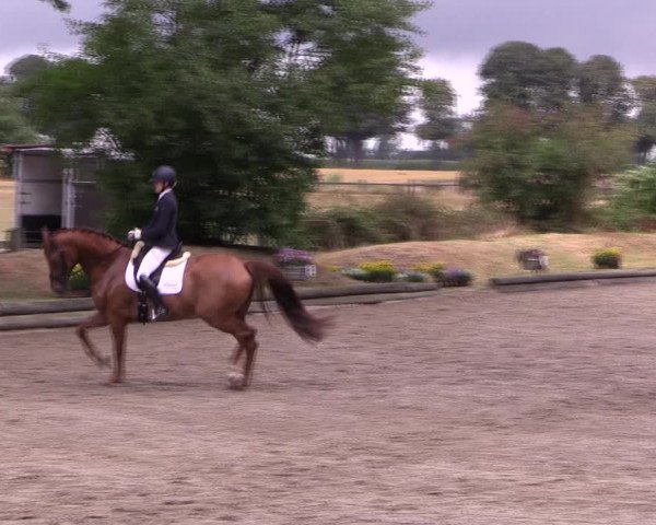 Reitturnier Datteln 2019
