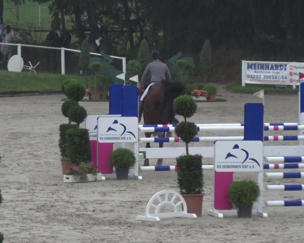 Reitturnier Bergisch Classics - Hebborner Hof 2019