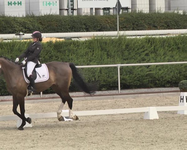 Reitturnier Durmersheim-Hardt 2019