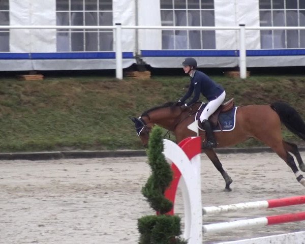Reitturnier Bergisch Classics - Hebborner Hof 2019