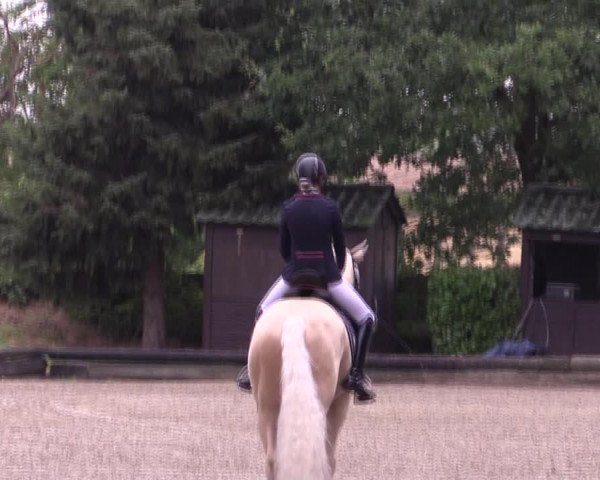 Reitturnier Datteln 2019