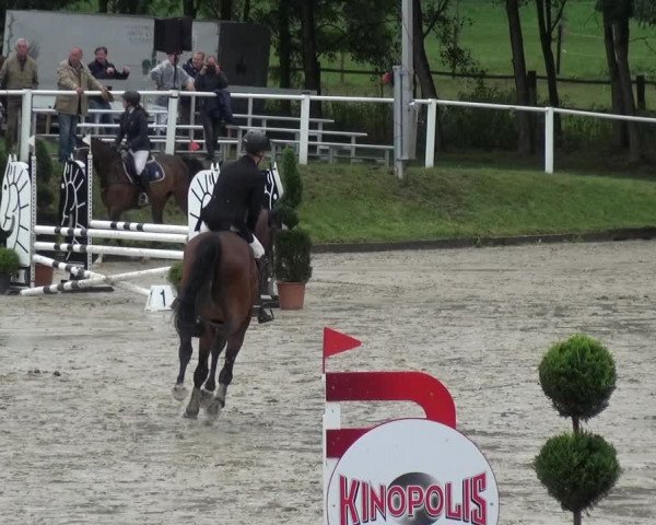 Reitturnier Bergisch Classics - Hebborner Hof 2019