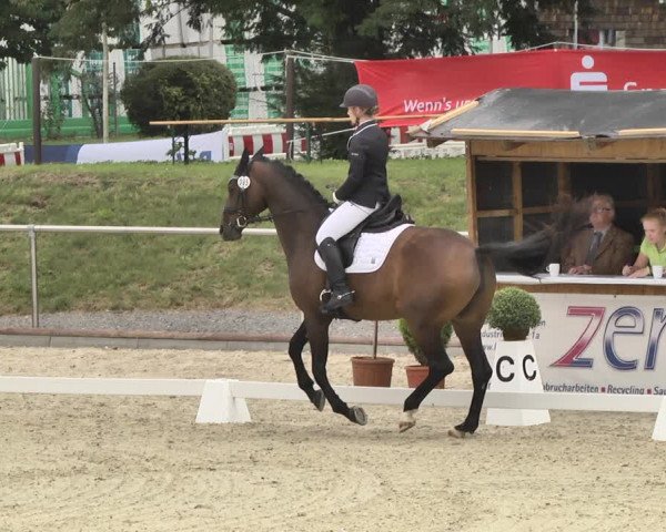 Reitturnier Durmersheim-Hardt 2019
