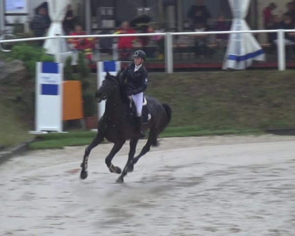 Reitturnier Bergisch Classics - Hebborner Hof 2019