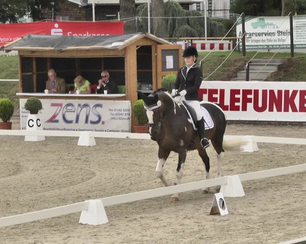Reitturnier Durmersheim-Hardt 2019