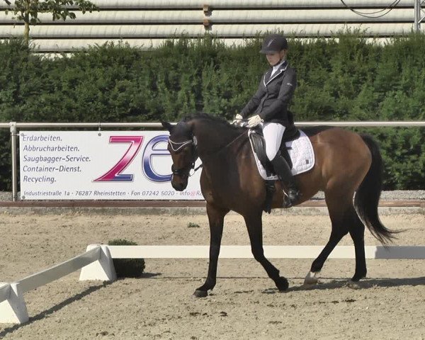 Reitturnier Durmersheim-Hardt 2019