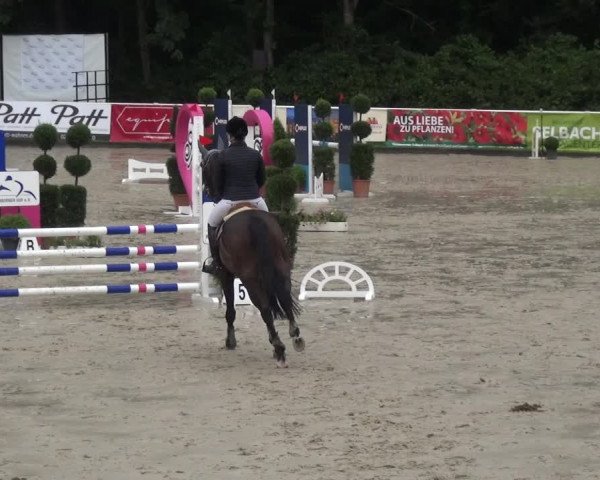 Reitturnier Bergisch Classics - Hebborner Hof 2019