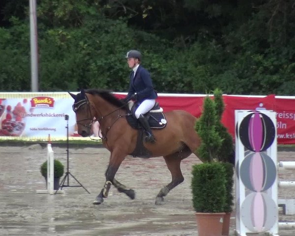 Reitturnier Bergisch Classics - Hebborner Hof 2019