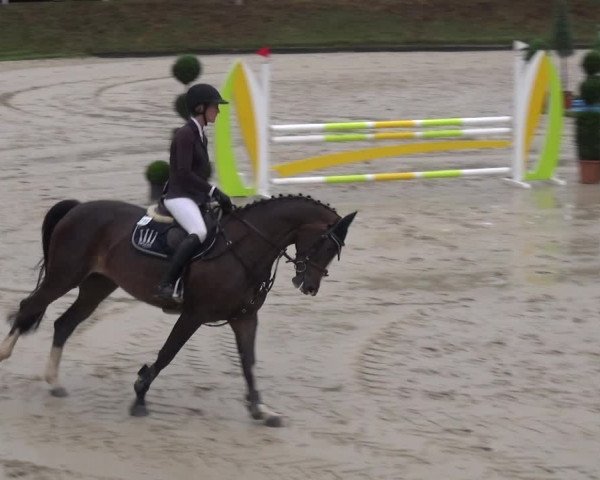 Reitturnier Bergisch Classics - Hebborner Hof 2019