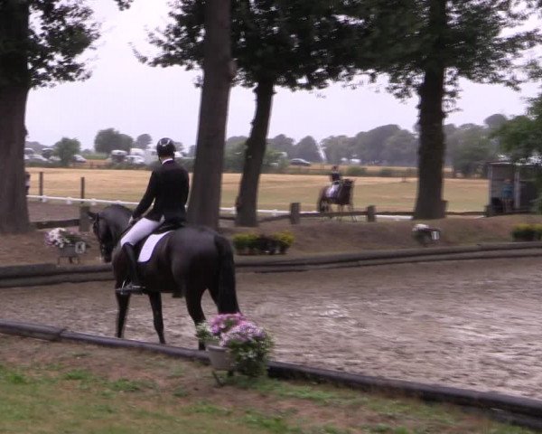 Reitturnier Datteln 2019