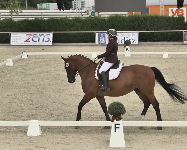 Reitturnier Durmersheim-Hardt 2019