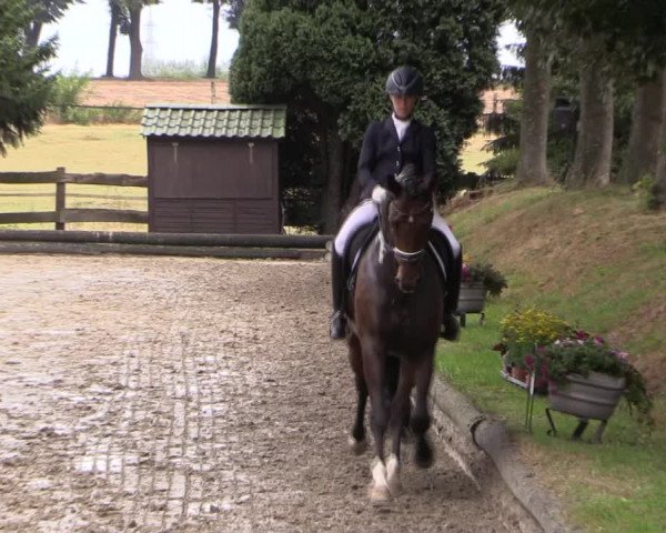 Reitturnier Datteln 2019