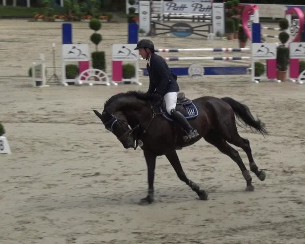 Reitturnier Bergisch Classics - Hebborner Hof 2019