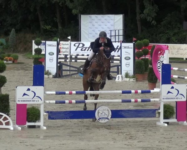 Reitturnier Bergisch Classics - Hebborner Hof 2019