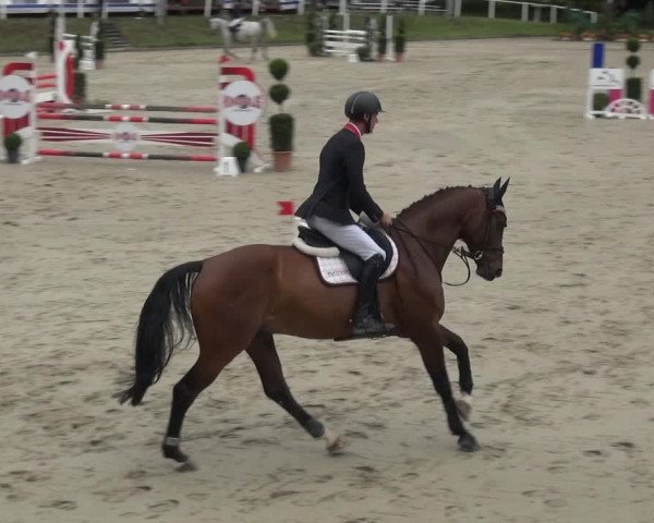 Reitturnier Bergisch Classics - Hebborner Hof 2019