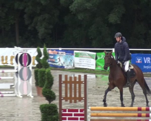 Reitturnier Bergisch Classics - Hebborner Hof 2019