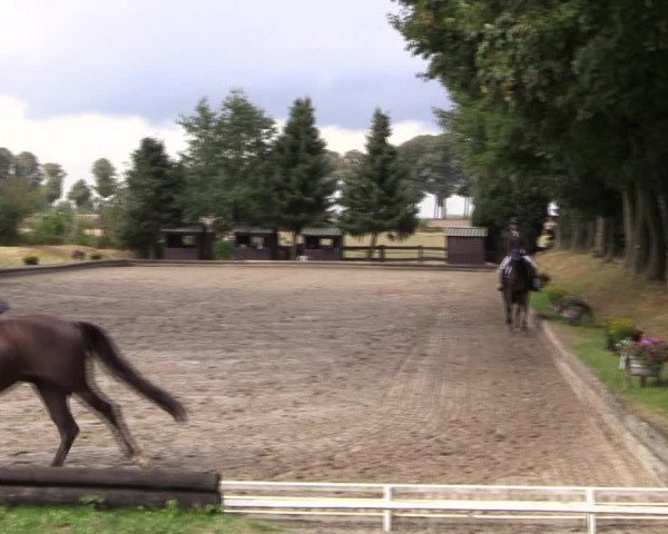 Reitturnier Datteln 2019