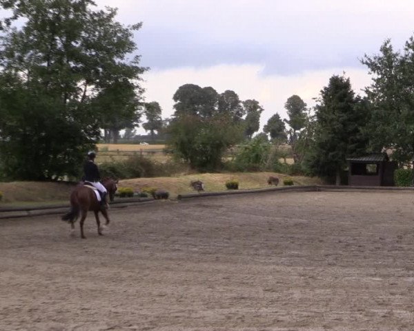 Reitturnier Datteln 2019
