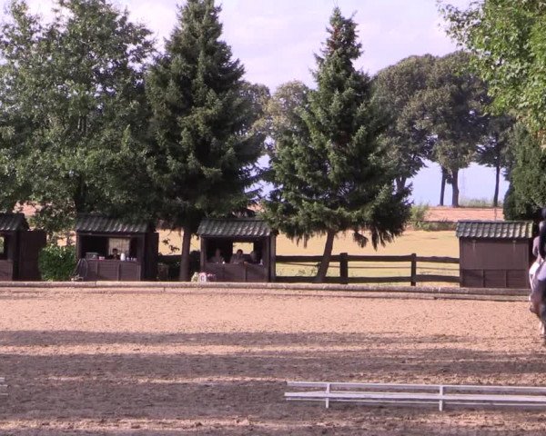 Reitturnier Datteln 2019