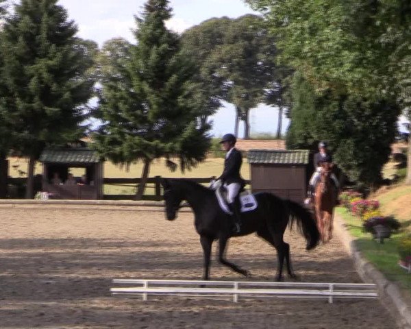 Reitturnier Datteln 2019