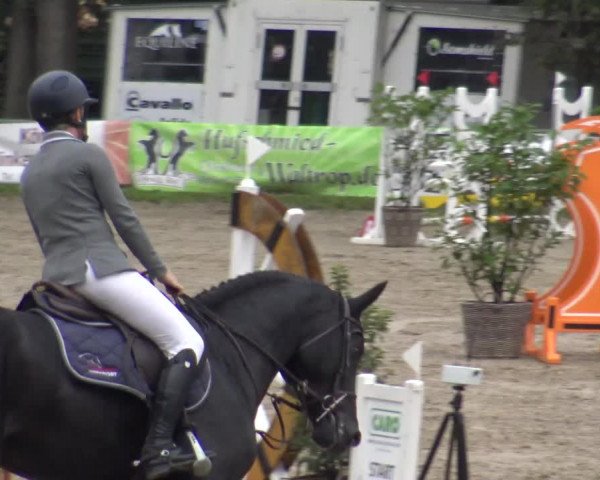 Reitturnier Datteln 2019