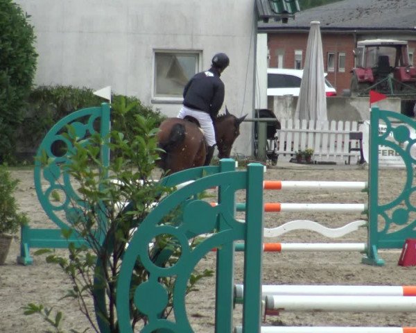 Reitturnier Datteln 2019