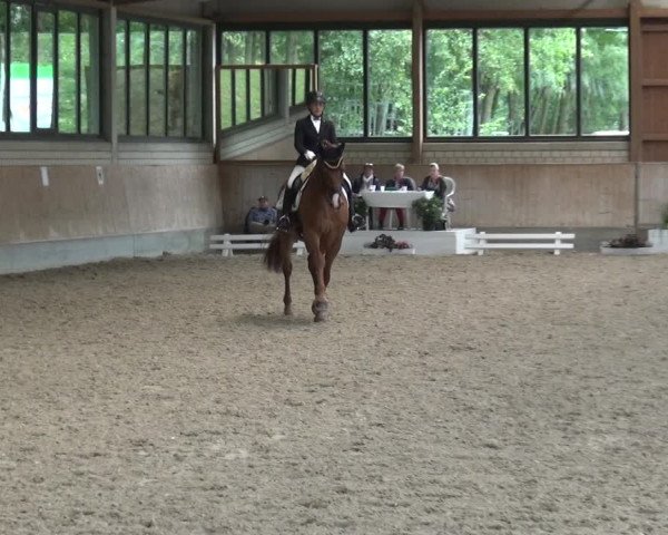 Reitturnier Bergisch Classics - Hebborner Hof 2019