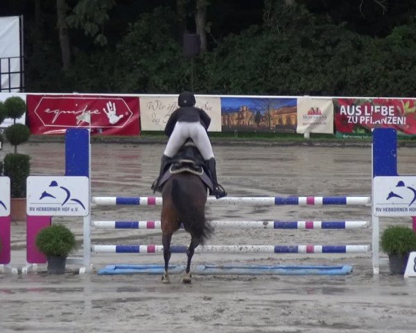 Reitturnier Bergisch Classics - Hebborner Hof 2019