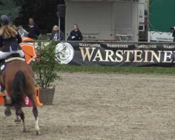 Reitturnier Datteln 2019