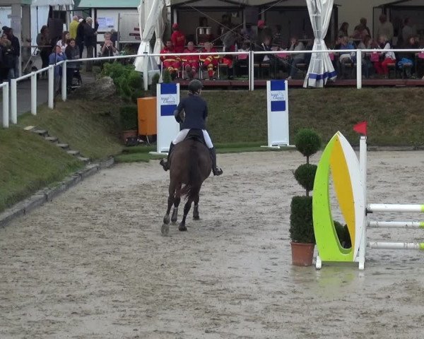 Reitturnier Bergisch Classics - Hebborner Hof 2019