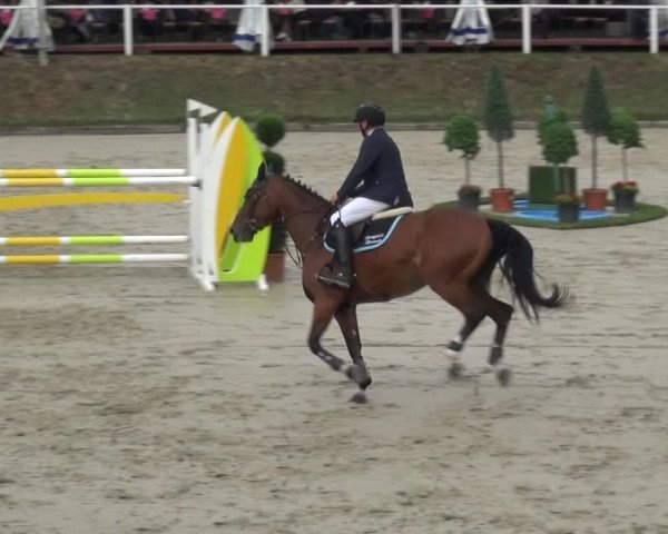 Reitturnier Bergisch Classics - Hebborner Hof 2019