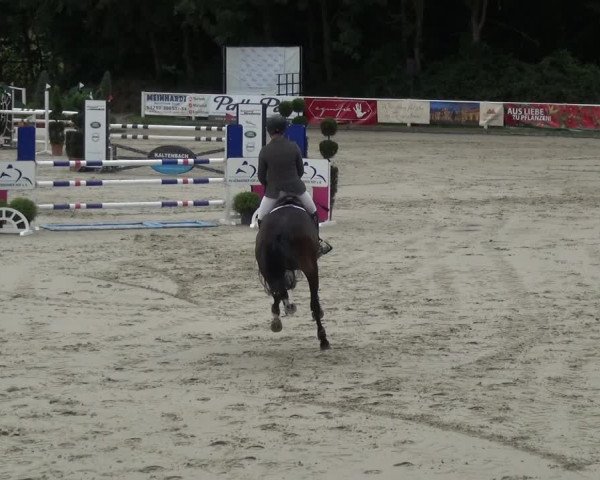 Reitturnier Bergisch Classics - Hebborner Hof 2019