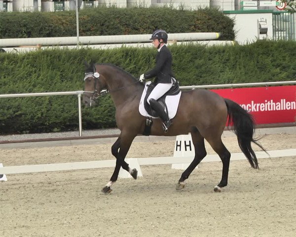 Reitturnier Durmersheim-Hardt 2019