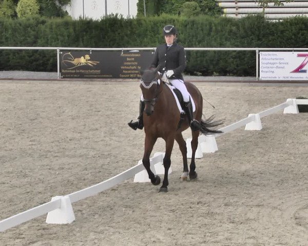 Reitturnier Durmersheim-Hardt 2019