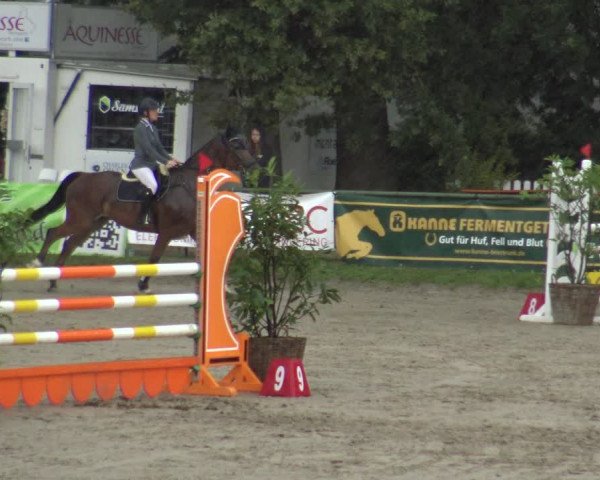 Reitturnier Datteln 2019
