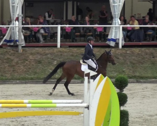 Reitturnier Bergisch Classics - Hebborner Hof 2019
