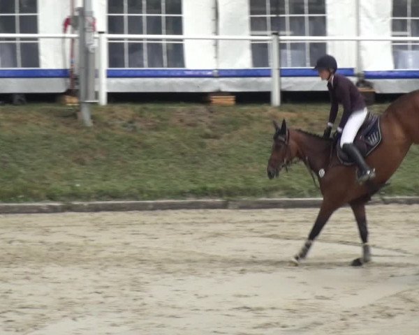 Reitturnier Bergisch Classics - Hebborner Hof 2019