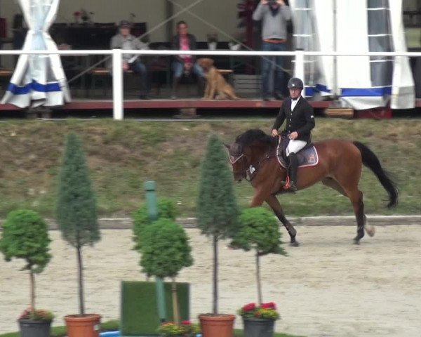 Reitturnier Bergisch Classics - Hebborner Hof 2019