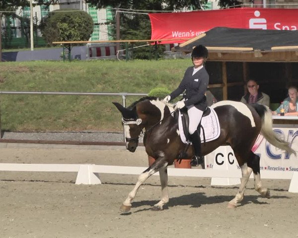 Reitturnier Durmersheim-Hardt 2019