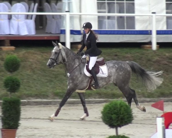 Reitturnier Bergisch Classics - Hebborner Hof 2019