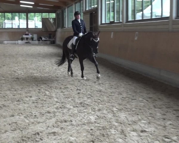 Reitturnier Bergisch Classics - Hebborner Hof 2019