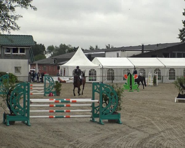 Reitturnier Datteln 2019