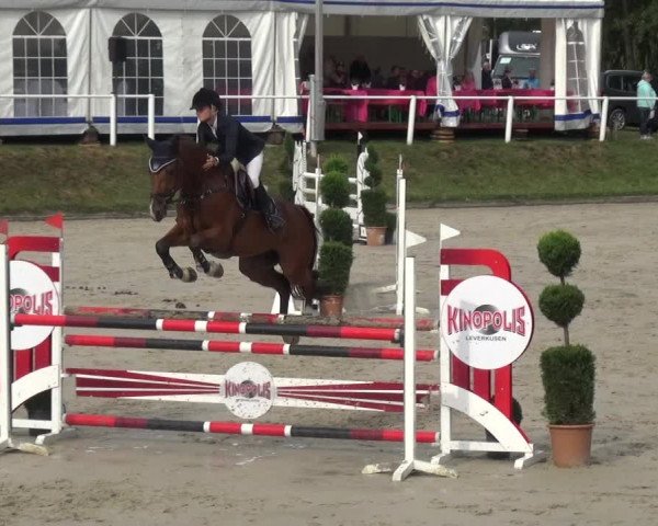 Reitturnier Bergisch Classics - Hebborner Hof 2019