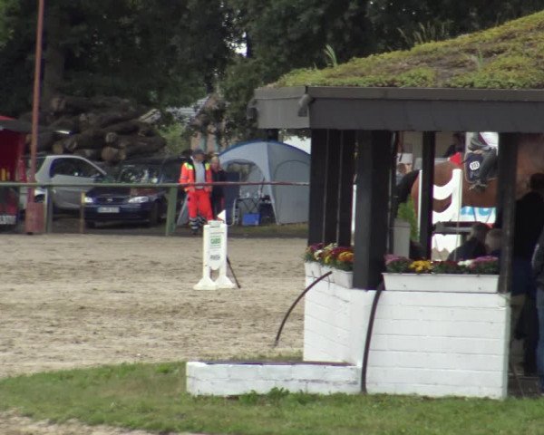 Reitturnier Datteln 2019