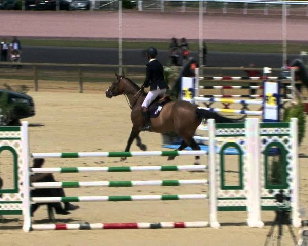 jumper Tyavax du Plant (Selle Français, 2007, from Luccianno)