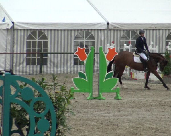 Reitturnier Datteln 2019