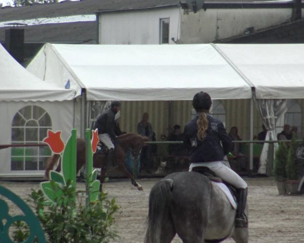 Reitturnier Datteln 2019