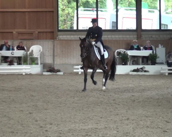Reitturnier Bergisch Classics - Hebborner Hof 2019