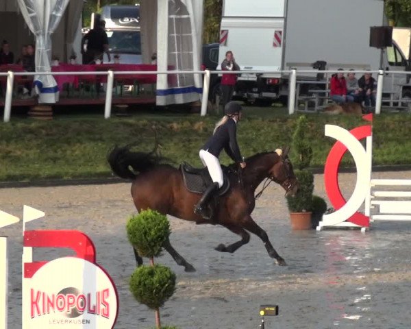 Reitturnier Bergisch Classics - Hebborner Hof 2019
